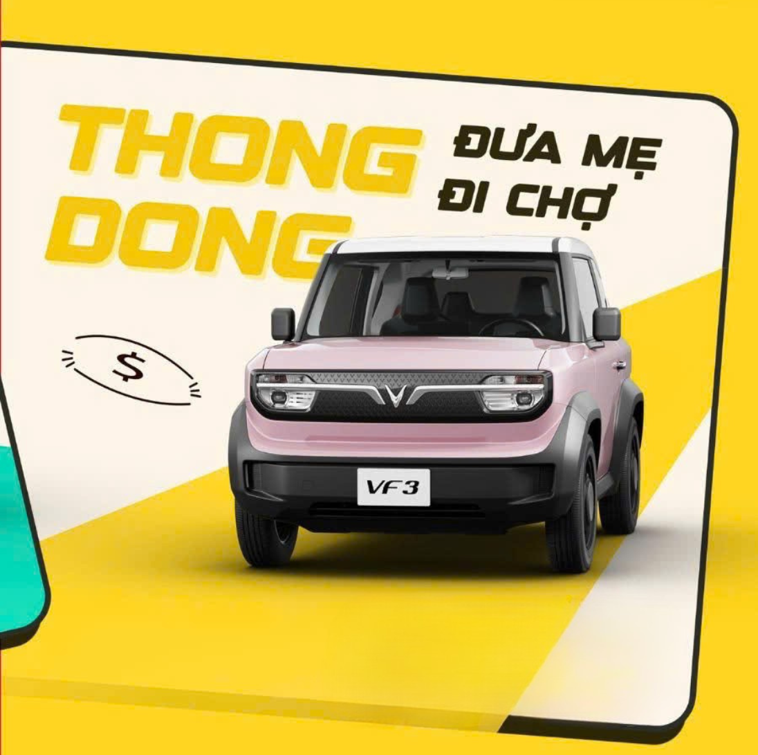 VinFast VF3 Đưa Mẹ Đi Chợ